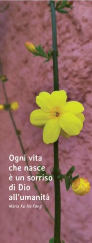OGNI VITA CHE NASCE E' UN... (CONF. 20 PZ.)