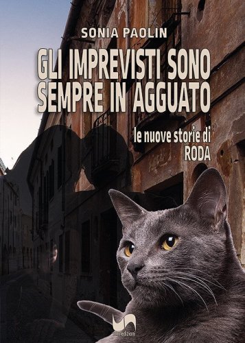 Gli imprevisti sono sempre in agguato. Le nuove storie di Roda