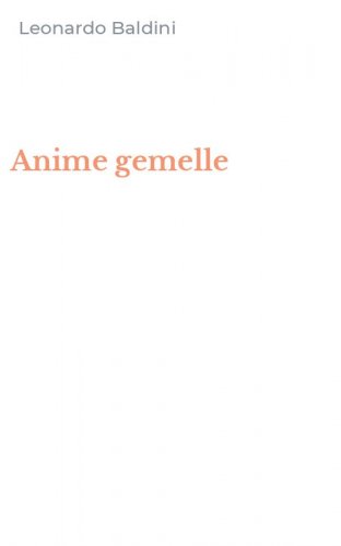 Anime gemelle