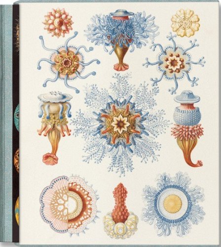 The art and science of Ernst Haeckel. Ediz. inglese, francese e tedesca