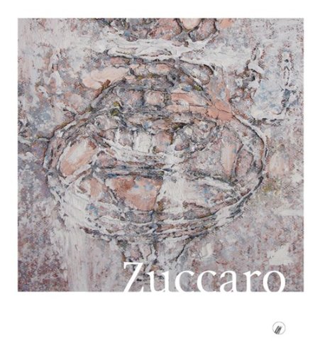 Piero Zuccaro. Flyby