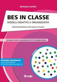 Bes in  classe. Modelli didattici e organizzativi dall'autovalutazione alla lezione inclusiva