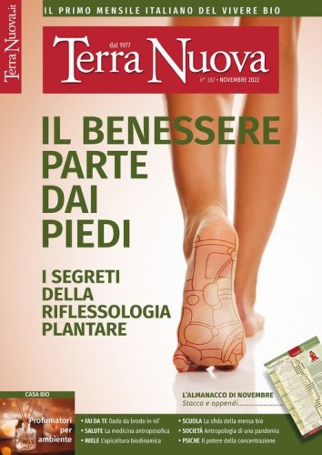 Terra nuova