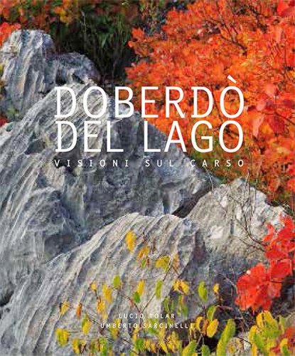 Doberd&ograve; del Lago. Visioni sul Carso-A view across the Karst. Ediz. italiana, inglese e slovena