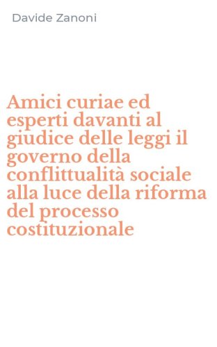 Amici curiae ed esperti davanti al giudice delle leggi il governo della conflittualit&agrave; sociale alla luce della riforma del processo costituzionale