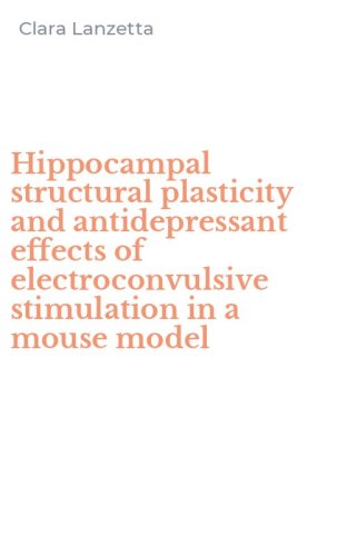 Hippocampal structural plasticity and antidepressant effects of electroconvulsive stimulation in a mouse model