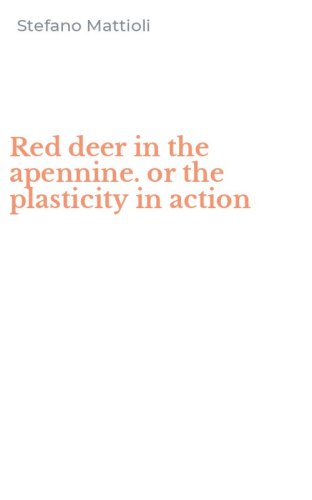 Red deer in the apennine. or the plasticity in action