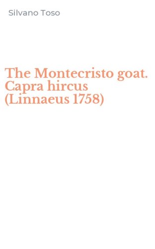 The Montecristo goat. Capra hircus (Linnaeus 1758)