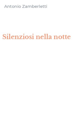 Silenziosi nella notte