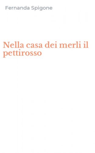 Nella casa dei merli il pettirosso