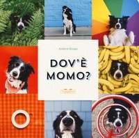 Dov'&egrave; Momo?