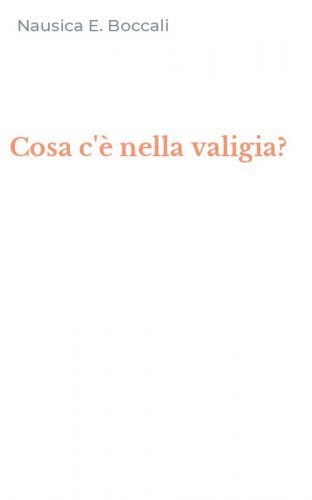 Cosa c'&egrave; nella valigia?