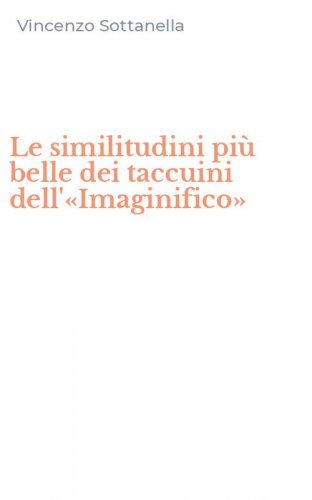 Le similitudini pi&ugrave; belle dei taccuini dell'&laquo;Imaginifico&raquo;