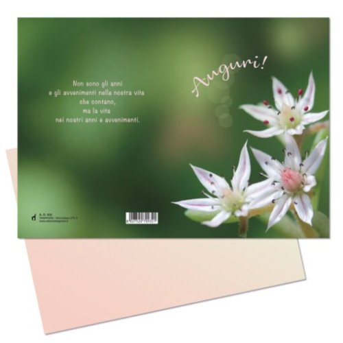 AUGURI - 21,8 x 15,5  aperto 10,9 x 15,5  chiuso