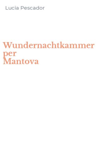 Wundernachtkammer per Mantova