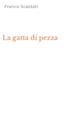 La gatta di pezza
