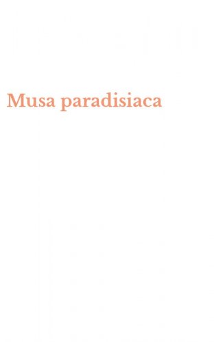 Musa paradisiaca