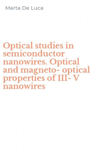 Optical studies in semiconductor nanowires. Optical and magneto-optical properties of III-V nanowires
