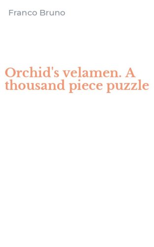 Orchid's velamen. A thousand piece puzzle
