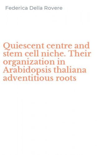 Quiescent centre and stem cell niche. Their organization in Arabidopsis thaliana adventitious roots