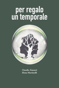 Per regalo un temporale