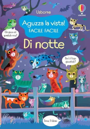 Di notte