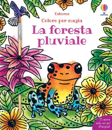 Foresta pluviale