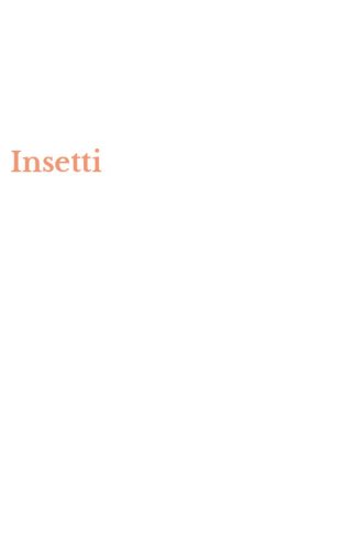 Insetti