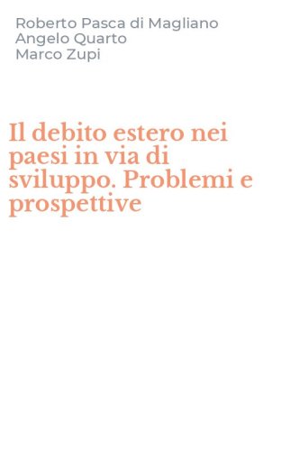 Il debito estero nei paesi in via di sviluppo. Problemi e prospettive