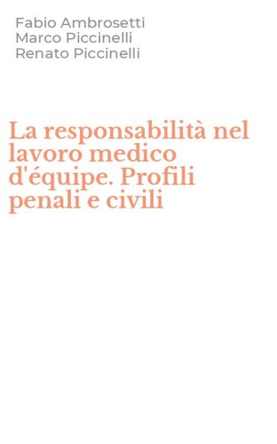 La responsabilit&agrave; nel lavoro medico d'&eacute;quipe. Profili penali e civili
