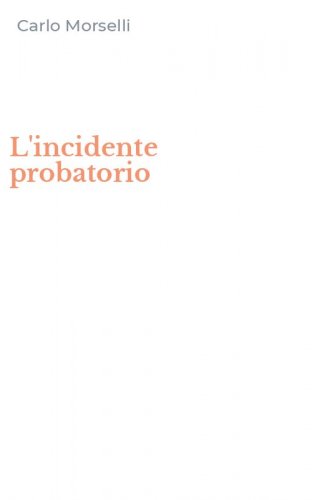 L'incidente probatorio