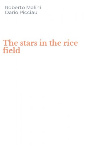 The stars in the rice field