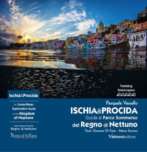 Ischia & Procida. Guida al Parco Sommerso del Regno di Nettuno-An UnderWater Exploration Guide in the Kingdom of Neptune