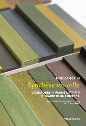 Monica Gorini. Synth&egrave;se visuelle. Scomporre in frame l'attimo Il diario di una ricerca. Ediz. italiana e inglese