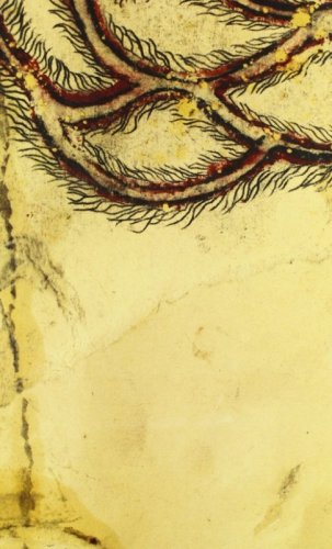 Simone Pellegrini. Ag&agrave;lmata
