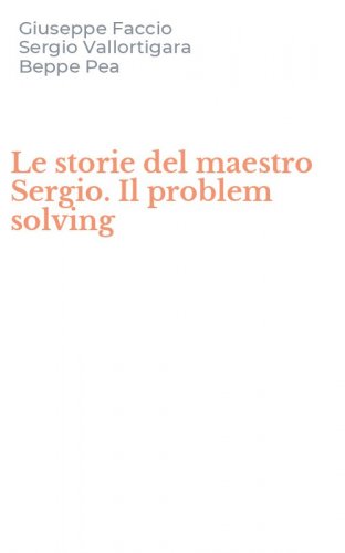 Le storie del maestro Sergio. Il problem solving