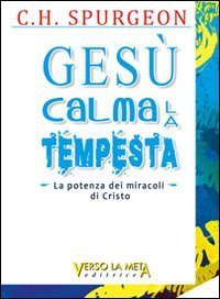 Ges&ugrave; calma la tempesta. La potenza dei miracoli di Cristo
