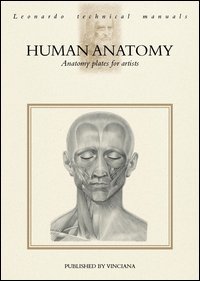 Human anatomy. Anatomy plates for artists