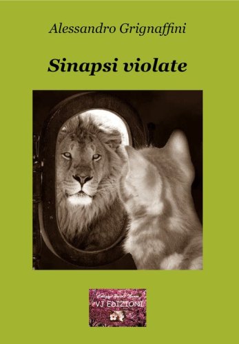 Sinapsi violate. La mutevole instabilit&agrave; della ragione