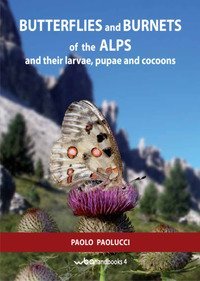 Butterflies and burnets of the Alps and their larvae, pupae and cocoons