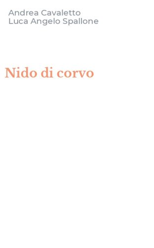Nido di corvo