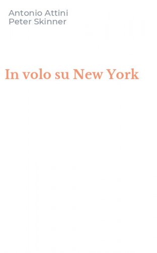 In volo su New York