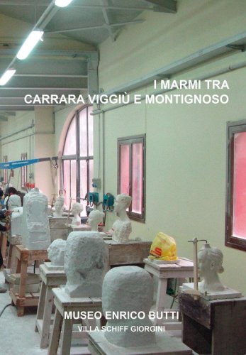 I marmi tra Carrara, Viggi&ugrave; e Montignoso. La scultura dell'Accademia di Belle Arti di Carrara