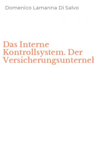 Das Interne Kontrollsystem. Der Versicherungsunternehmen