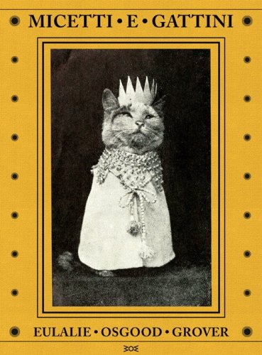 Micetti e gattini