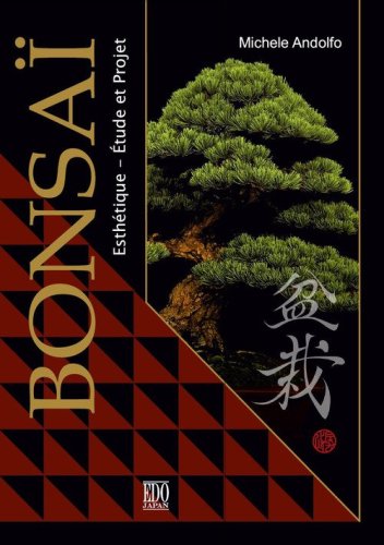 Bonsa&iuml;. Esth&eacute;tique &eacute;tude et projet