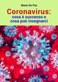 Coronavirus: cosa &egrave; successo e cosa pu&ograve; insegnarci