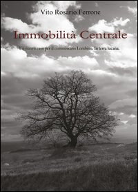 Immobilit&agrave; centrale