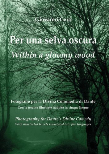 Per una selva oscura. Fotografie per la &laquo;Divina Commedia&raquo; di Dante-Within a gloomy wood. Photography for Dantes' &laquo;Divine Comedy&raquo;