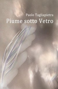 Piume sotto vetro